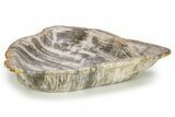 Bargain, Tropical Hardwood Petrified Wood Bowl - Indonesia #250178-3